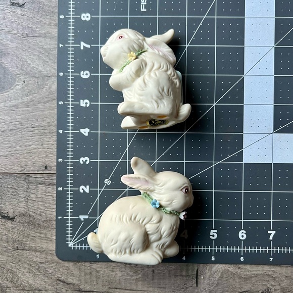 Spring Bunny Rabbits - Picture 6 of 8